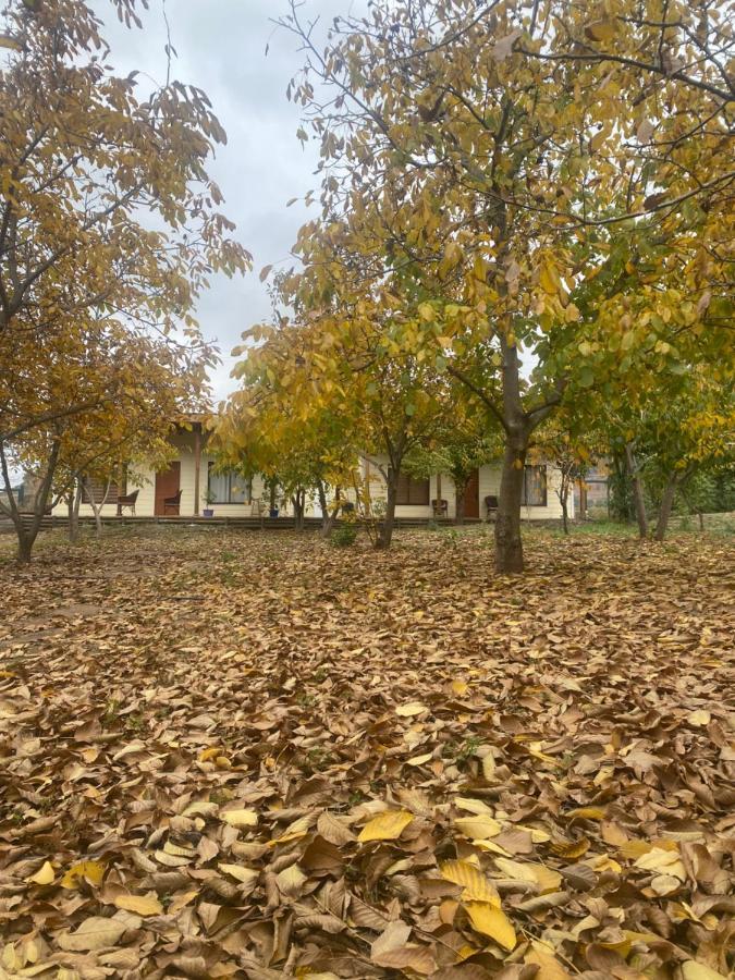 Alojamiento Los Nogales Санта-Крус Экстерьер фото
